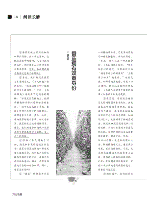 番茄擁有雙重身份.pdf