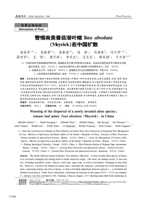 警惕南美番茄潛葉蛾Tura absoluta(Meyrick)在中國擴散.pdf