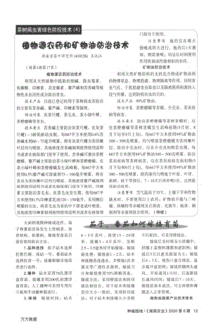 茄子、番茄如何嫁接育苗.pdf