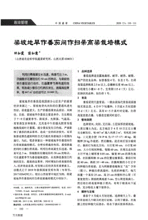 梁坡地旱作番茄間作掃帚高粱栽培模式.pdf