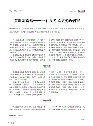 黃瓜霜霉病——一個(gè)古老又現(xiàn)實(shí)的病害.pdf