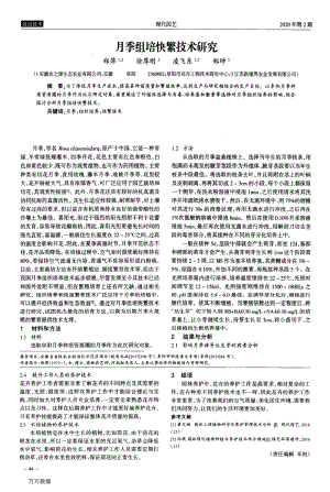 月季組培快繁技術(shù)研究.pdf