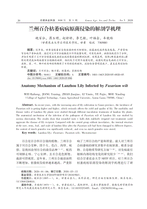 蘭州百合枯萎病病原菌侵染的解剖學(xué)機(jī)理.pdf