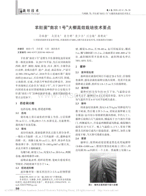 羊肚菌“南農(nóng)1號”大棚高效栽培技術(shù)要點.pdf