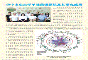 華中農(nóng)業(yè)大學(xué)羊肚菌課題組及其研究成果.pdf