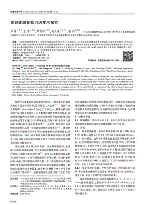 貴妃玫瑰葡萄組培技術(shù)探究.pdf