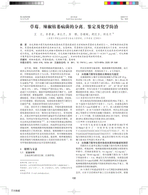草莓、辣椒枯萎病菌的分離、鑒定及化學防治.pdf