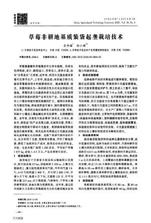 草莓非耕地基質(zhì)裝袋起壟栽培技術(shù).pdf