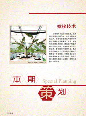 國(guó)外蔬菜嫁接機(jī)器人研究動(dòng)態(tài).pdf