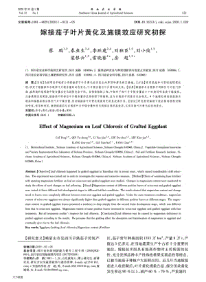 嫁接茄子葉片黃化及施鎂效應(yīng)研究初探.pdf
