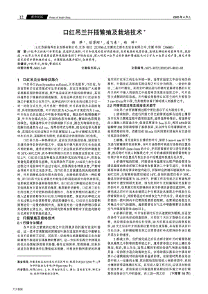 口紅吊蘭扦插繁殖及栽培技術(shù).pdf