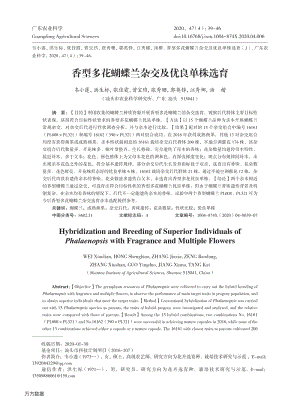 香型多花蝴蝶蘭雜交及優(yōu)良單株選育.pdf