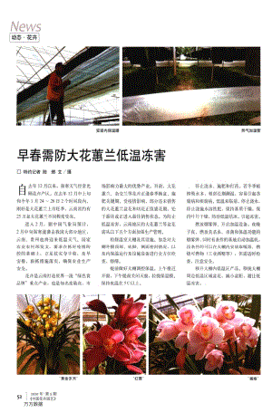 早春需防大花蕙蘭低溫凍害.pdf