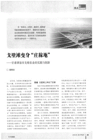 戈壁灘變身“莊稼地”——甘肅酒泉市戈壁農(nóng)業(yè)的實(shí)踐與創(chuàng)新.pdf