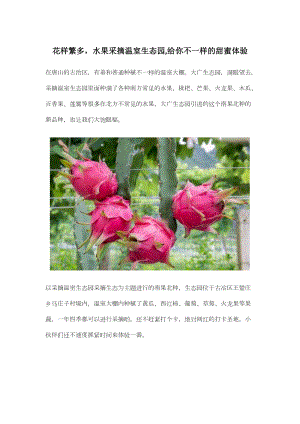 花樣繁多水果采摘溫室生態(tài)園,給你不一樣的甜蜜體驗(yàn).docx