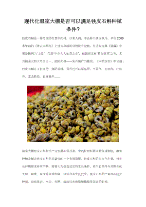 現(xiàn)代化溫室大棚是否可以滿足鐵皮石斛種植條件.docx