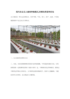 現(xiàn)代農(nóng)業(yè)無(wú)土栽培種植模式,有哪些類(lèi)型和好處.docx
