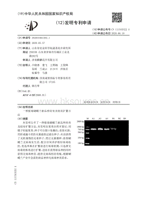 一種脫毒蝴蝶蘭新品種培育及組培擴(kuò)繁方法.pdf