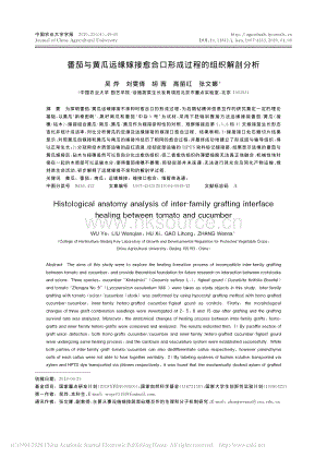 番茄與黃瓜遠(yuǎn)緣嫁接愈合口形成過程的組織解剖分析.pdf
