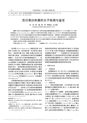 百日菊白粉菌的分子檢測與鑒定.pdf