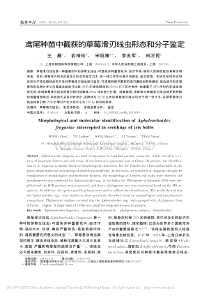 鳶尾種苗中截獲的草莓滑刃線蟲形態(tài)和分子鑒定.pdf