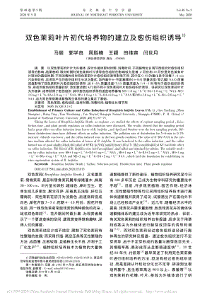 雙色茉莉葉片初代培養(yǎng)物的建立及愈傷組織誘導(dǎo).pdf