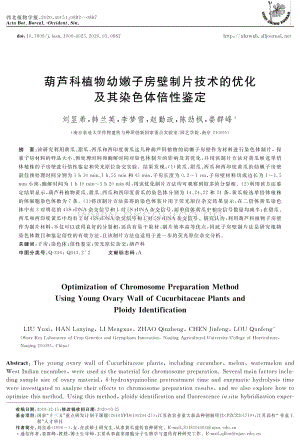 葫蘆科植物幼嫩子房壁制片技術(shù)的優(yōu)化及其染色體倍性鑒定.pdf