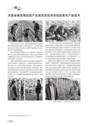 河南省番茄等蔬菜產(chǎn)業(yè)服務(wù)團田間傳授蔬菜豐產(chǎn)新技術(shù).pdf