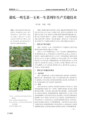 甜瓜雞毛菜玉米生菜周年生產(chǎn)關鍵技術.pdf