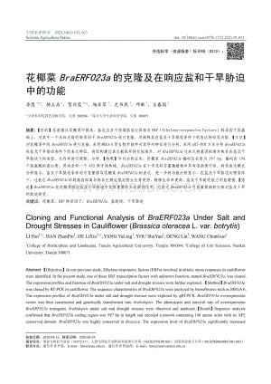 花椰菜BraERF023a的克隆及在響應(yīng)鹽和干旱脅迫中的功能.pdf