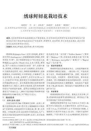 繡球鮮切花栽培技術(shù).pdf