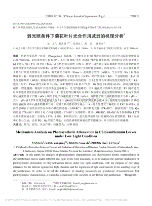 弱光照條件下菊花葉片光合作用減弱的機(jī)理分析.pdf
