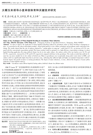 大棚玉米誘導(dǎo)小麥單倍體育種關(guān)鍵技術(shù)研究.pdf