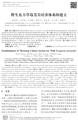 野生東方草莓莖尖培養(yǎng)體系的建立.pdf