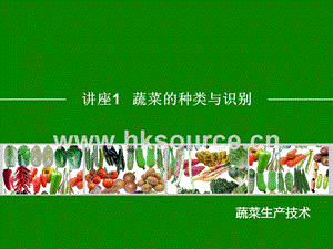 蔬菜生產(chǎn)技術(shù)（北方本）（第二版）課件 項(xiàng)目一、蔬菜種類與識(shí)別.ppt