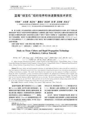 藍(lán)莓“綠寶石”組織培養(yǎng)和快速繁殖技術(shù)研究_畢海林.pdf