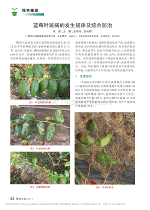 藍(lán)莓葉斑病的發(fā)生規(guī)律及綜合防治_高勇.pdf
