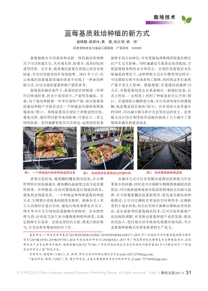 藍(lán)莓基質(zhì)栽培種植的新方式_謝曉娜.pdf