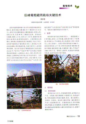 巨峰葡萄避雨栽培關鍵技術(shù).pdf