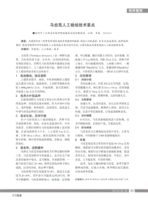 馬齒莧人工栽培技術要點.pdf