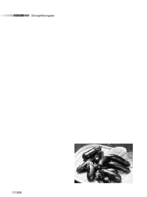 水溶性肥料在茄果類上的應(yīng)用肥效試驗(yàn)小結(jié).pdf