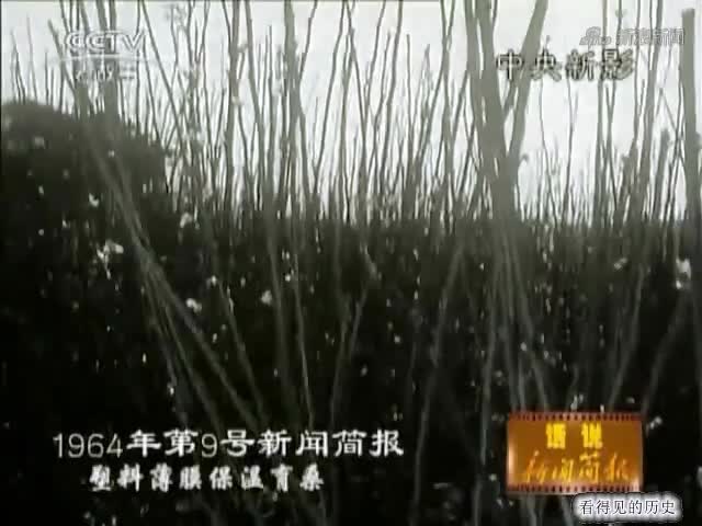 1963年廣州就有了塑料大棚 感覺好高級.mp4