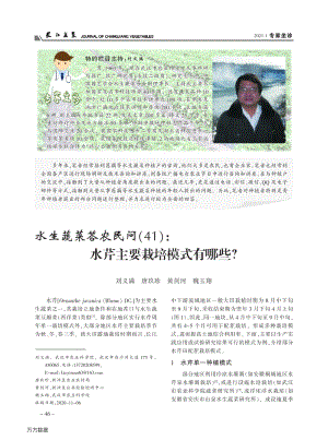 水生蔬菜答農(nóng)民問（41）水芹主要栽培模式有哪些.pdf