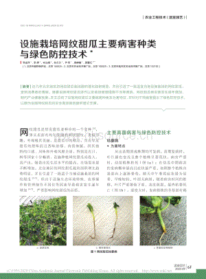 2020-設(shè)施栽培網(wǎng)紋甜瓜主要病害種類與綠色防控技術(shù)_李金萍.pdf