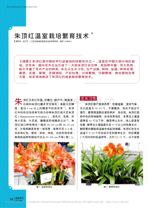 2016-朱頂紅溫室栽培繁育技術(shù)_邵和平.pdf