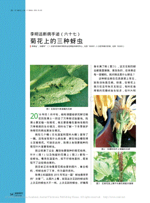 2016-菊花上的三種蚜蟲_李明遠.pdf