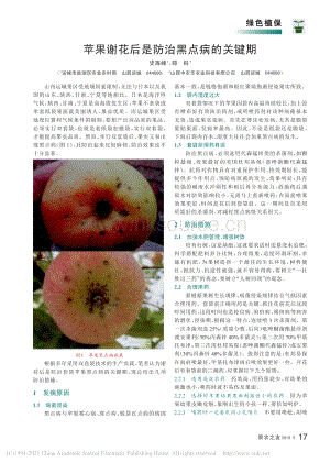 2019-蘋果謝花后是防治黑點(diǎn)病的關(guān)鍵期_史海峰.pdf