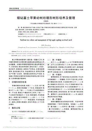 2021-矮砧富士蘋果幼樹紡錘形樹形培養(yǎng)及管理_石振華.pdf