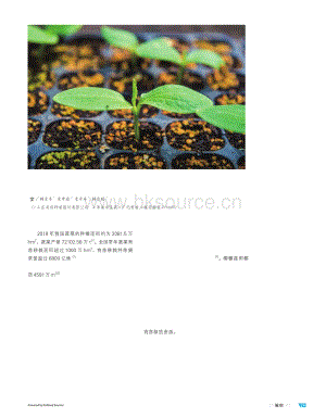 【泥炭技術(shù)】泥炭基質(zhì)蔬菜育苗的優(yōu)點及技術(shù)要點-韓吉書等pdf