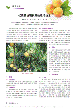 2017-優(yōu)質(zhì)黃桃現(xiàn)代高效栽培技術(shù)_李新艷.pdf
